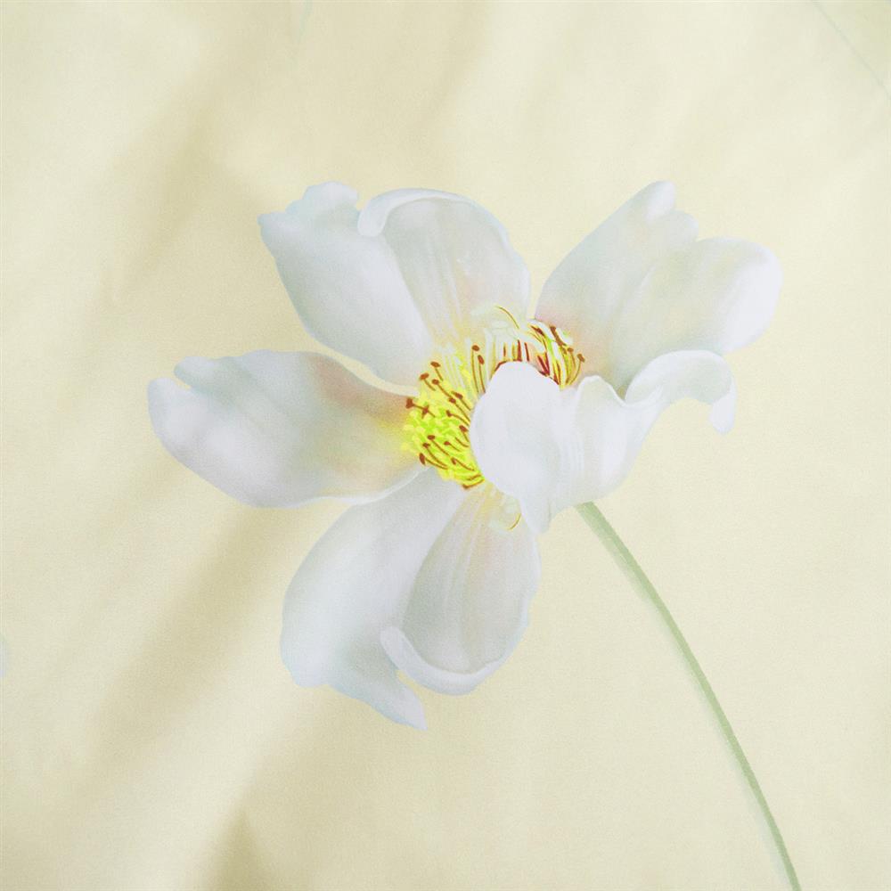 奶fufu的花-细节图6.jpg