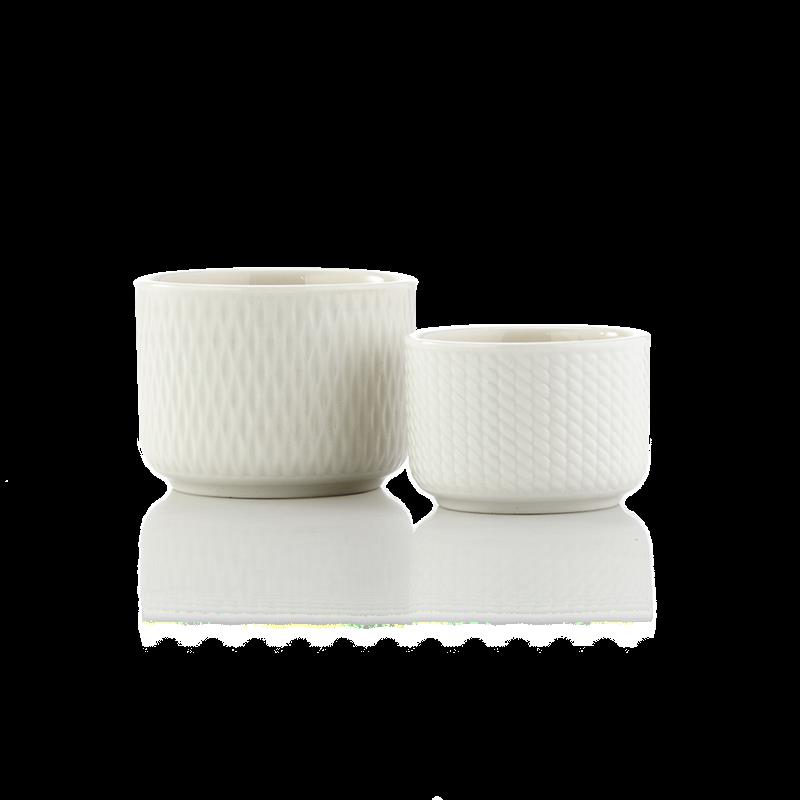 3D6A1608.png