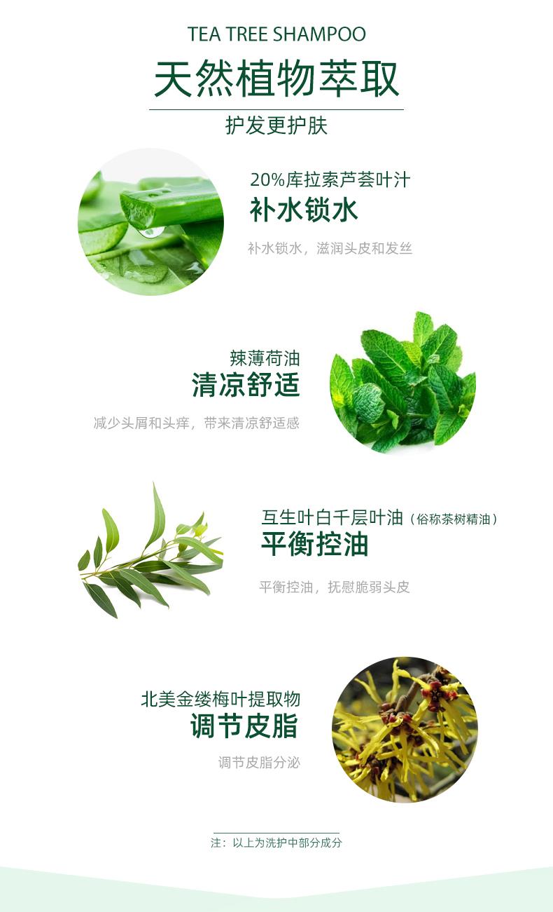 图层 3.png