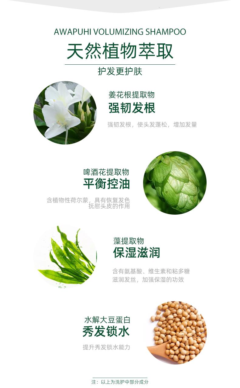 图层 3.png