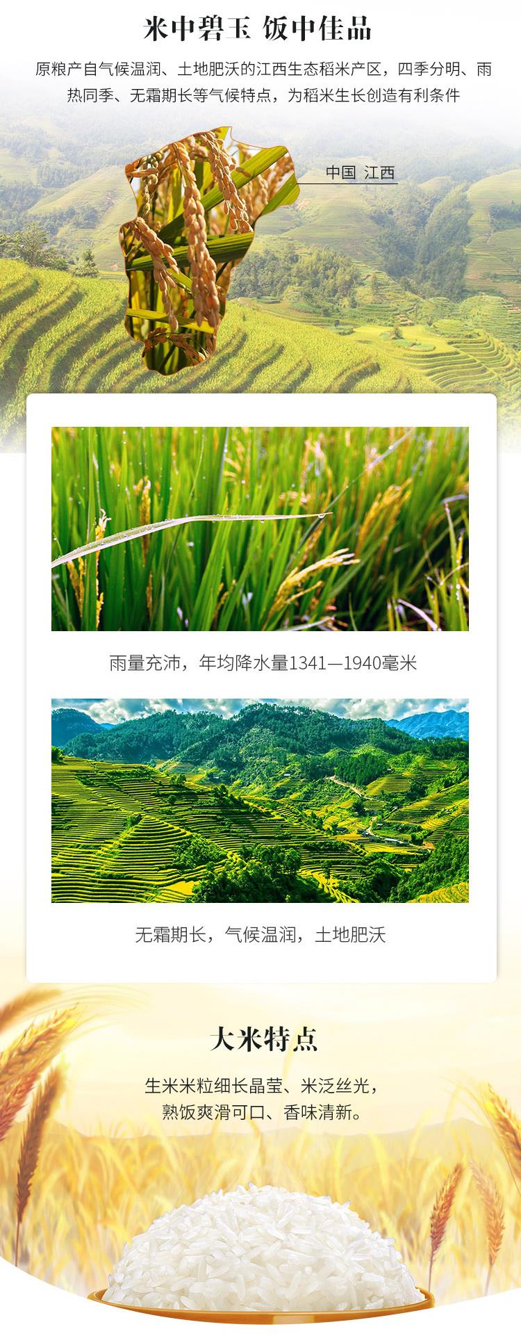 丝苗米_03.jpg
