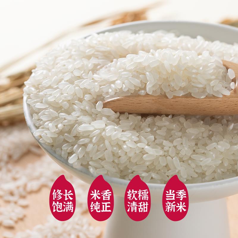 五常香米-02.png