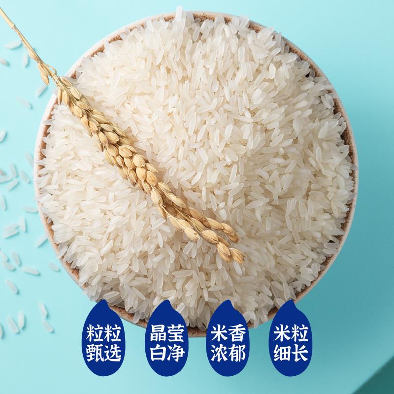 美香丝苗2(1).jpg