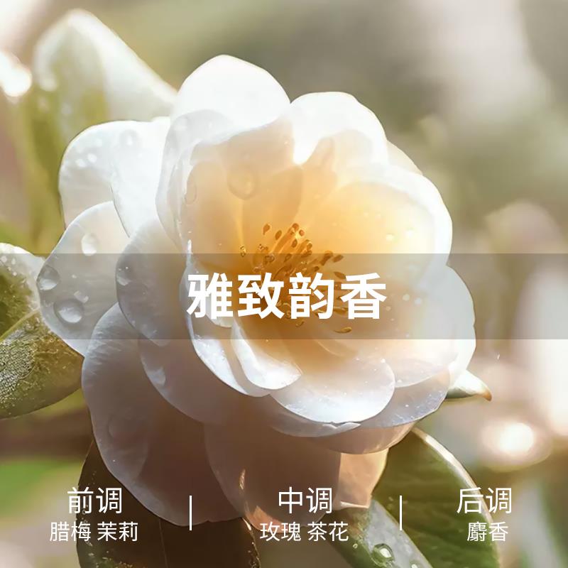 画板 4.jpg