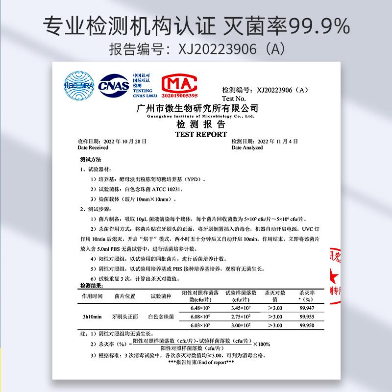 800-4.jpg