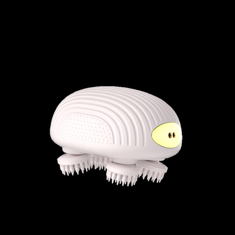 6.png